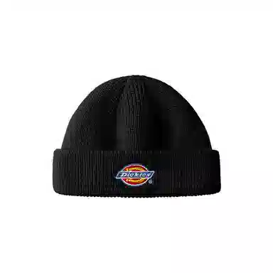 Dickies Beanie