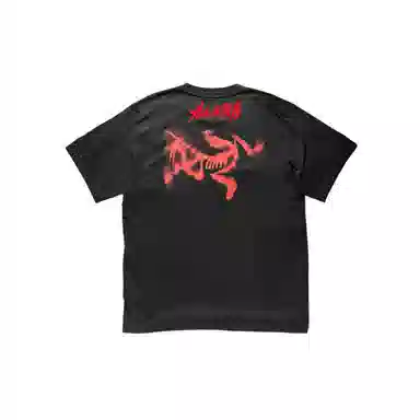 Arcteryx KRAGG SLLogoT