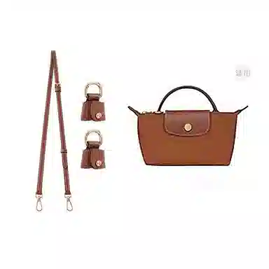 Longchamp Mini