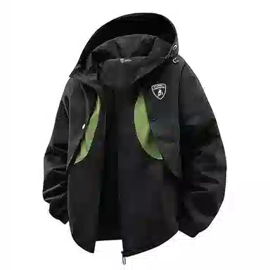 Automobili Lamborghini logo