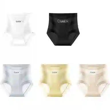 PERFECT LINE SHOW High Waist Seamless Briefs