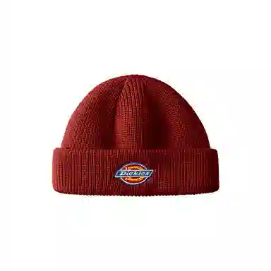 Dickies Beanie