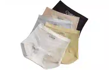 PERFECT LINE SHOW High Waist Seamless Briefs