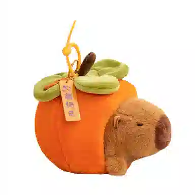 16cm