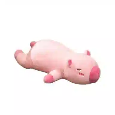 PUDOWRABBIT 60cm80cm