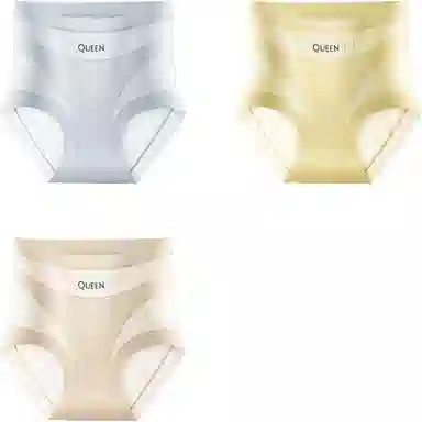 PERFECT LINE SHOW High Waist Seamless Briefs