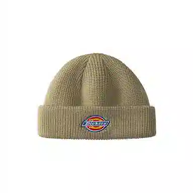 Dickies Beanie