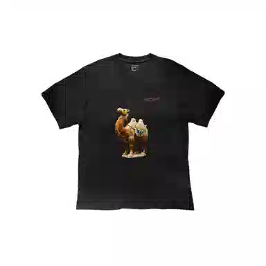 Arcteryx KRAGG SL LogoT