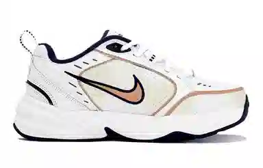 Nike Air Monarch 4