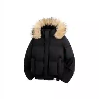 PINSCIO ZENIE cleanfit