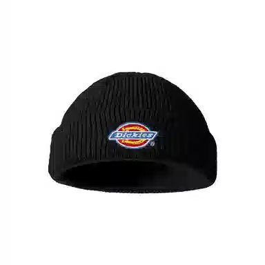 Dickies Beanie