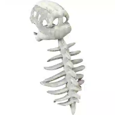 MENGMENGBUNNY 75cm115cm