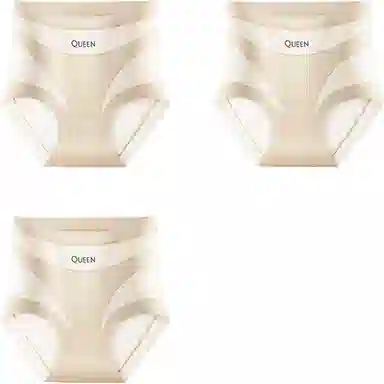 PERFECT LINE SHOW High Waist Seamless Briefs