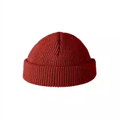 Dickies Beanie