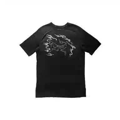 Arcteryx Ionia Merino Wool logoT