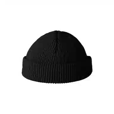 Dickies Beanie