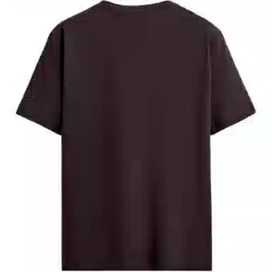 ZARA T