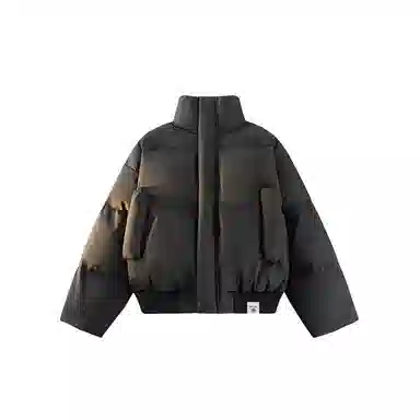 PINSCIO ZENIE cleanfit