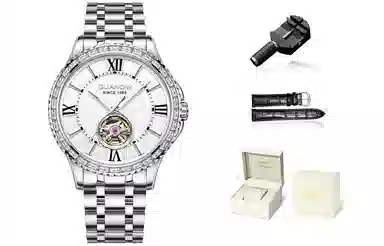 Guanqin Sparkling Series Skeleton Flywheel Mechanical Watch