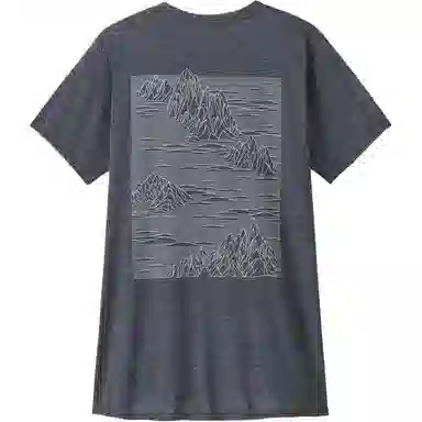 patagonia T