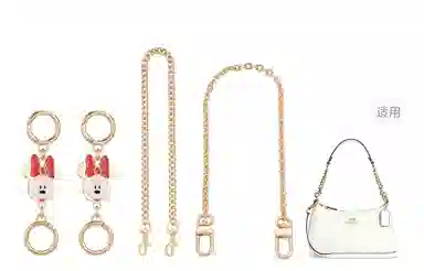 Disney COACH Teri 25