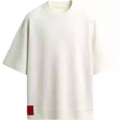 ZARA T