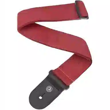 D'Addario PWS
