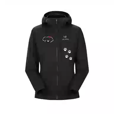 Arcteryx Squamish HoodyLogo