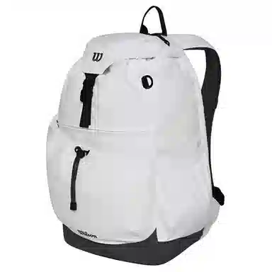 Wilson 22L