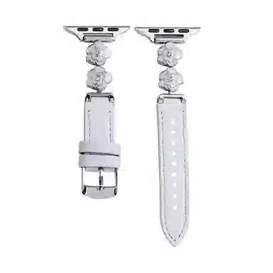 apple watchS11iwatchS1098765SE4