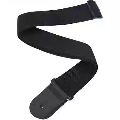 D'Addario PWS