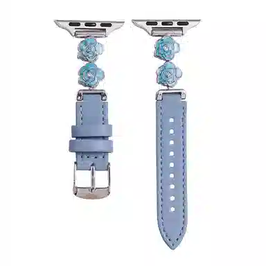 apple watchS11iwatchS1098765SE4