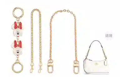 Disney COACH Teri 25