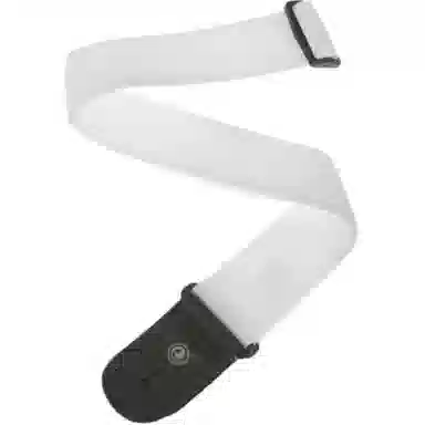 D'Addario PWS