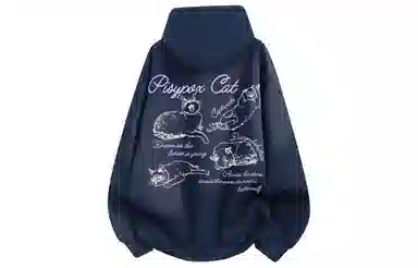 PISYPOX logocleanfit