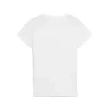 PUMA GRAPHICS Mountain Tee SS25 T