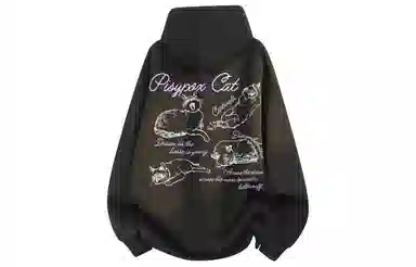 PISYPOX logocleanfit