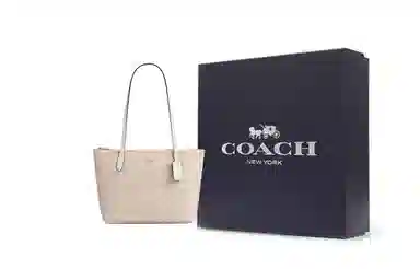Coach Fiona 24 Tote Bag Small Beige