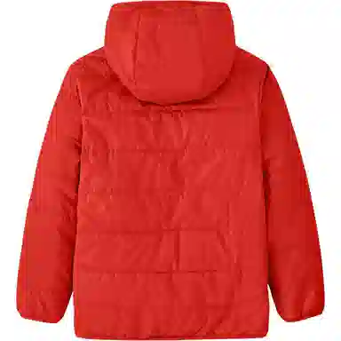 patagonia