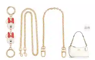 Disney COACH Teri 25