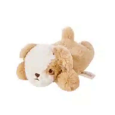 The Green Party 22cm