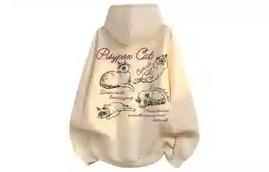 PISYPOX logocleanfit