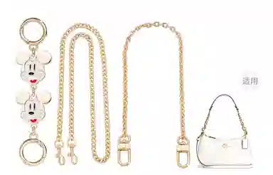 Disney COACH Teri 25