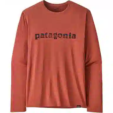 patagonia T