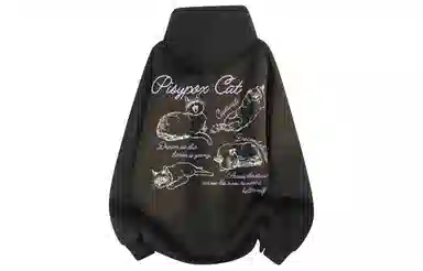 PISYPOX logocleanfit