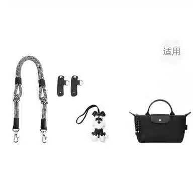 Longchamp Le Pliage Energy17 Mini Strap