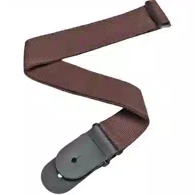 D'Addario PWS