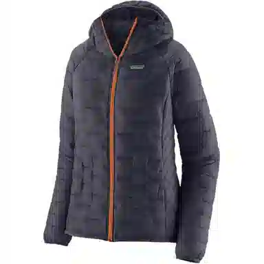 patagonia Micro Puff Logo