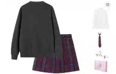 东鲸岁时记 气质百搭长袖上衣优雅清新短裙裙装套装 女款