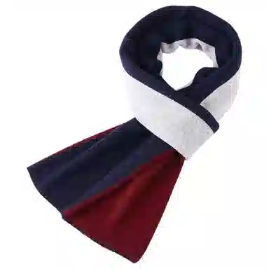 红豆 时尚百搭柔软保暖拼色 羔羊毛 绒线围巾 男款